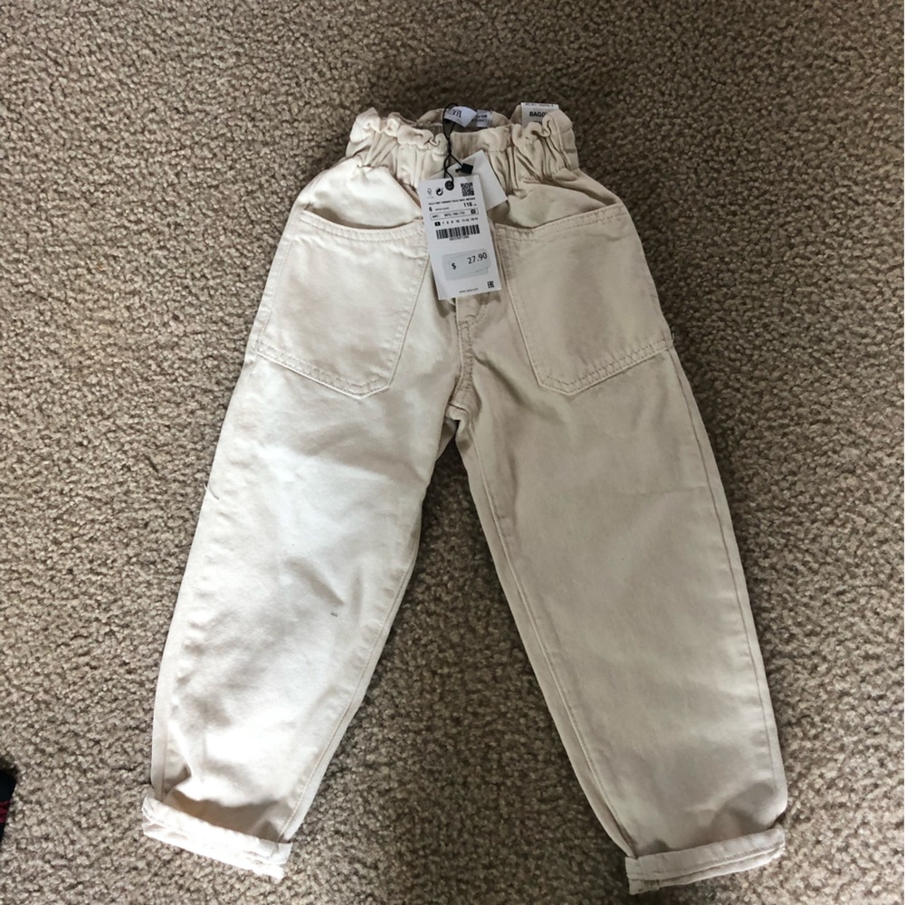 Zara Baggy pants